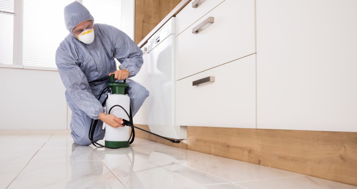 controle-pragas-limpeza